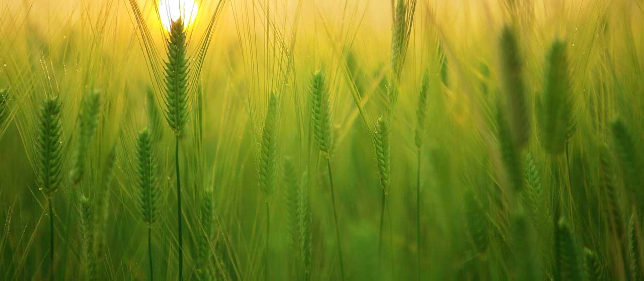 Η Εξατομίκευση στο διαχειριστικό σας με ένα μόνο κλικ!